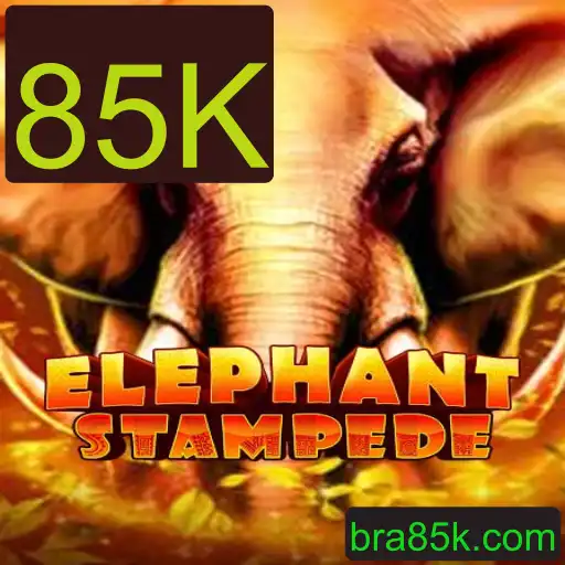 ElephantStampede: Descubra o Mundo Emocionante do Jogo com 85K Participantes